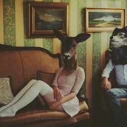 Lex_Smirnov's profile picture. #followback #seo #lol