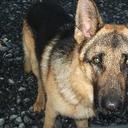 Darren Tobin - @DarrenTobin1 - Twitter