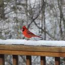 Fran Rider - @2smile2 - Twitter