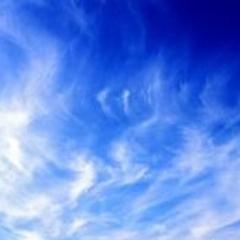 Q8sora8Q's profile picture. 1.95m^2の盆栽世界🪴+🐈を楽しむ日々☀️矮小ベランダ盆栽🪴メインは雑木、特にモミジ大好き🍁裏山から雑草掘ってきて盆栽っぽくするの好き🌱最近やっと松柏に興味持ち出しました🌲