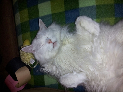 GradleyL's profile picture. I'm an avid music lover and a huge Mariah Carey fan!