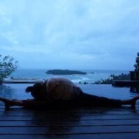 Tanvi Mehra (@tanmehra) 's Twitter Profile