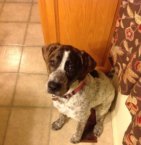 _Jbird10's profile picture. Dad, Husband, and Coach. Creative minimalist with foresight.  #Fromagreatteamcomesgreatindividuals