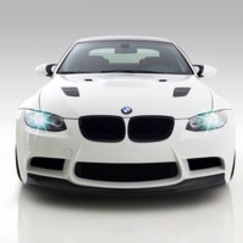 arotondo1's profile picture. 