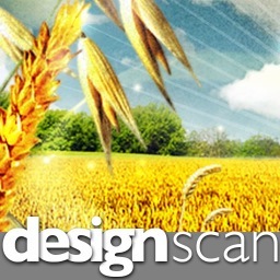 DesignScan | design | html | css | xhtml | redesign | scan | website scan | design scan | analyse website | analyse design | analyse code