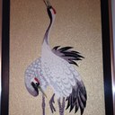 abel berhe - @abelb2005 - Twitter