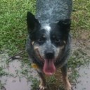 nathan kenny - @nudgekenny - Twitter