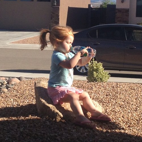 SPetrauschke's profile picture. 