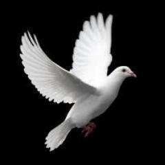 Lubu_Leora's profile picture. Credit Risk Analyst!