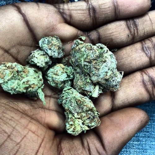 jus ya average ordinary nigga... 4z ^^