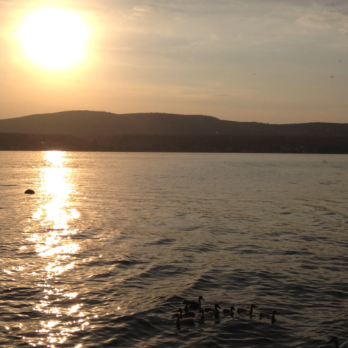 saludparaelalma's profile picture. 