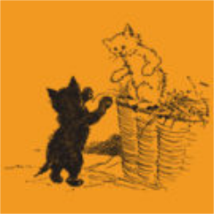 Iam smart,,cute,,nice
