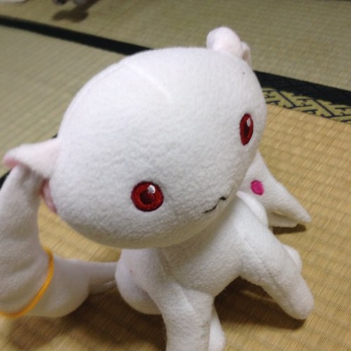 ヤス＠たぬきです。 日本語以外はフォローできません ミーハー（死語）です。 あともうフォロー人数限界なので、増やせないかもごめんなさい 最近、アニメクラスタかな。だいぶ散財しているしorz 基本は、面白い発言には返信します。（強引にでも）、気に入った人にも強引な返信ですね。