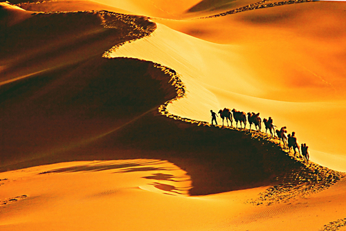 for8x2y's profile picture. 