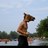 dunlop_neil's profile image