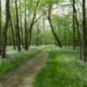 Anne Collins Osman - @AnneOsman - Twitter