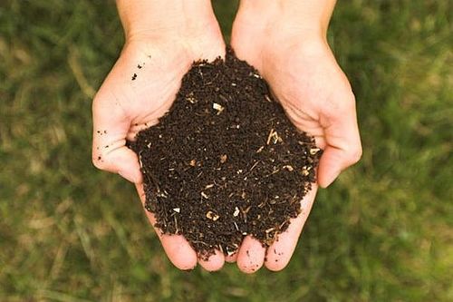 Emperor of Compost. Farmer of Worms. Gardener of Vegetables & Herbs.