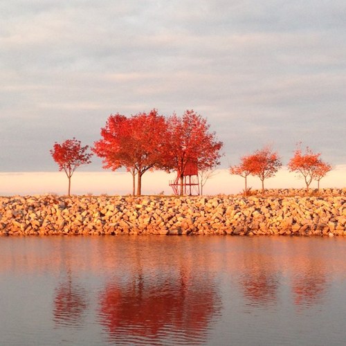 kayteejay361's profile picture. 