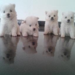 I dont know the way, but I will be der very soon......