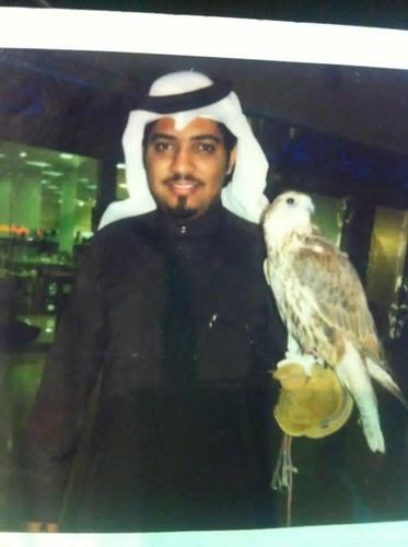 شاعر واعشق اقتناء الخيل العربيه الاصيله
