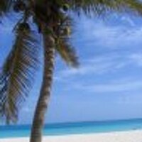 Devry S. Boughner (@devryb) 's Twitter Profile