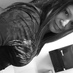 Yolanda (@yolie333) Twitter profile photo Yolanda (@yolie333) Twitter profile photo