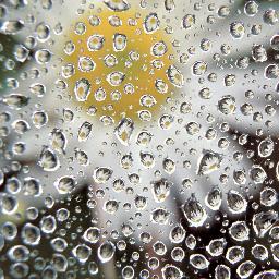 praznpryr's profile picture. 