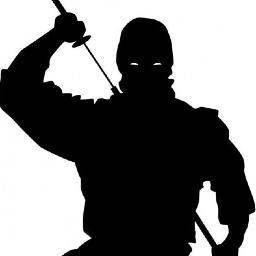 Ninja Don't Die-They Multiply!