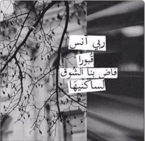 الله يبييحه يمشي بكل شريآن تضخه عروق الجسد لين بآحت ~ يالقبر يا حظك تحضنت سلطآن عندك وريحه في ثرى الأرض فاحت(اذكروا سلطان رحمه الله  بدعوه