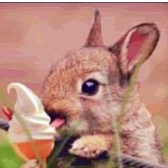 MissNoUpstairs's profile picture. I like forks.
I like spoons, too; but not as passionately.