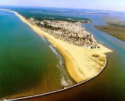 lunyluny013's profile picture. 