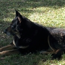 Sheri Benjamin - @evergl8701 - Twitter