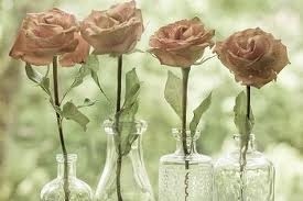 shabby_vintage's profile picture. Shabby Vinatge is here to help make your events truly special with our beautiful props and decorations to hire! X