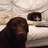 Chris_dunkley's profile image