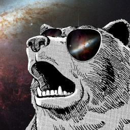 sisfried's profile picture. I talk candidly about things that are important.