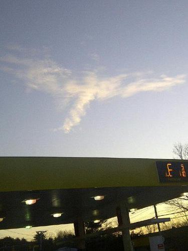 lforte1's profile picture. 