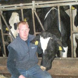 RobbinTeunissen's profile picture. 