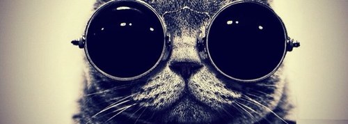 camille_gontier's profile picture. 