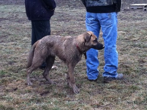 overmj0518's profile picture. 