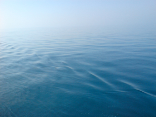 HermanLily's profile picture. 