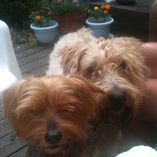 store132's profile picture. Bills fan stuck in Kansas