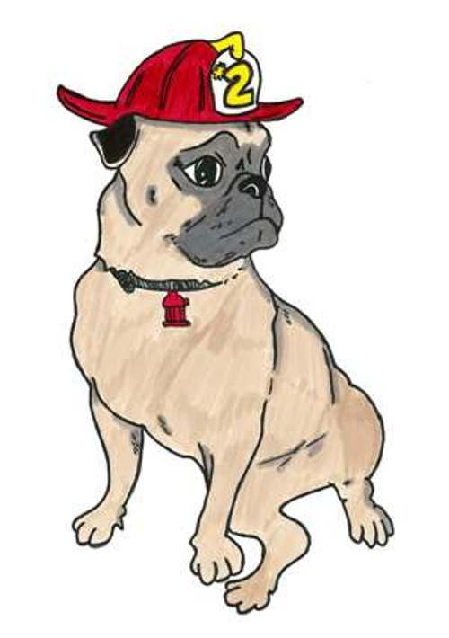 callofdoodie's profile picture. Pooper Scooper in NJ, Pick-up dog / goose / cat waste