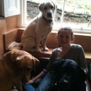 Lucy Whitaker - @LucyWhiskers - Twitter