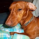 Anna quevedo - @dashperdido_ - Twitter