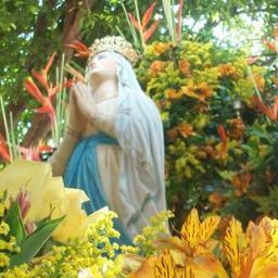 SinaiEspina's profile picture. 