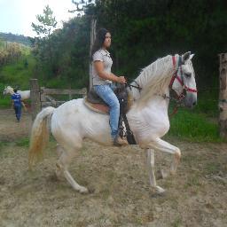 sou uma garota q ama animais 
cresceu no meio dos cavalos gosta mto d fazer novas amizades
e gosta d ajudar as pessoas...