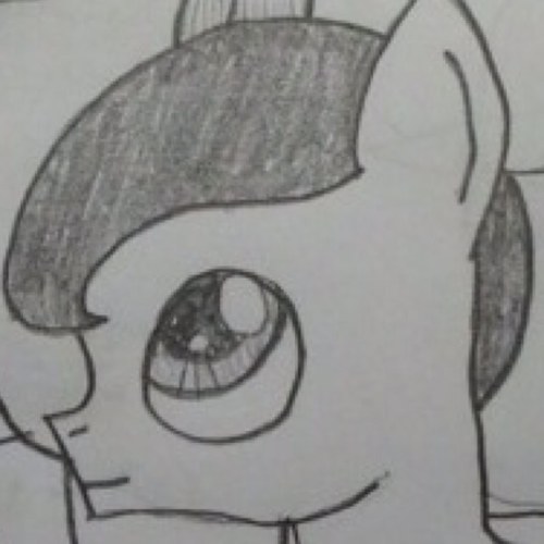 With my dad being an alicorn and my mum a unicorn, my luck would make me an earth pony. Figures. My names Solus, best gamer in town. Care for a challenge?