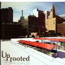UpRooted: An Urban Garden Project at Sontes.