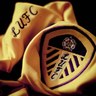 MOTForever's profile picture. Proud to be addicted to the one and only Leeds United. The one addiction where there is no rehab. Proud to be a legacy fan.