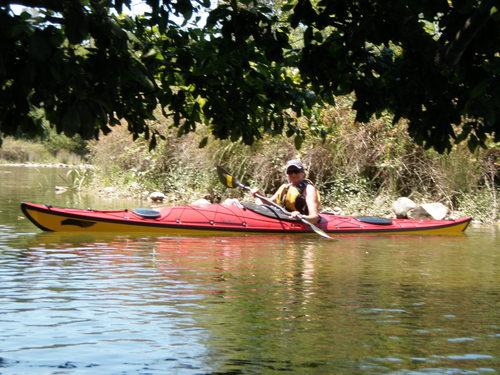 ladyastor's profile picture. 